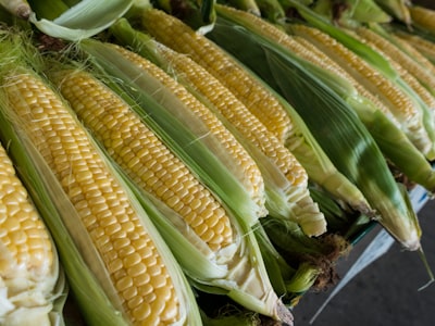 Sweet Corn